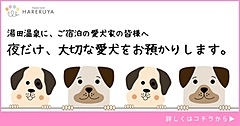 山口県・湯田温泉、愛犬の夜間預かりを開始、地域ぐるみで歓迎姿勢を明確化