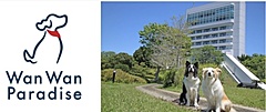 愛犬同伴可のホテルを複数展開するホテルチェーン、リブランドで「わんわんパラダイス」に統合