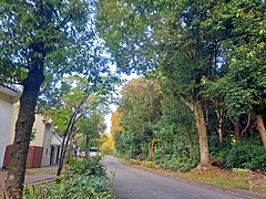 ハウステンボス、敷地内の森と運河が環境省「自然共生サイト」に認定、自然環境の再生への取り組みを評価