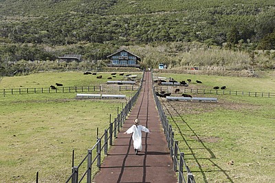 台風被害からの復興へ、東京都八丈島の現在地、エコツーリズムにかける期待と観光ビジョンを取材した