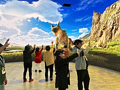 万博人気コンテンツ「モンスターハンター」、淡路島に移設、レガシー活用でインバウンド誘致と観光振興