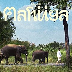 タイ国政府観光庁、ワーナーミュージックとコラボ、音楽でタイの魅力を発信する観光促進キャンペーン