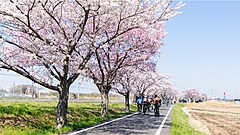 観光地向け無人レンタサイクル、事前予約や片道利用に対応、第1弾はつくば霞ヶ浦りんりんロード