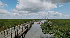 カナダ、2026年夏の観光促進策「カナダ・ストロング・パス」発表、国立公園無料や鉄道の割引など、登録不要で
