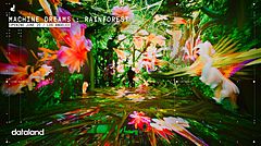 米ロサンゼルスにAIアート美術館「DATALAND」が開館、来館者の反応で変化する没入型アート体験